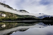 Strathcona Park BC Photograph by Kathy Paynter