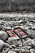 Stream side Fly Box Photograph by Jason Brooks Stream side Fly Box Photograph by Jason Brooks