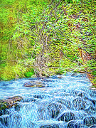 Streaming Through The Woods Digital Art by Joel Bruce Wallach