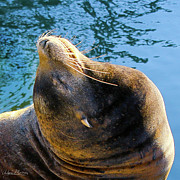 Stretch Photograph by Adam Morsa Stretch Photograph by Adam Morsa
