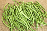 String Beans Photograph by Inga Spence