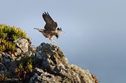 Strive to Improve Photograph by Sherry Clark