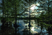 Stumpy Lake Photograph by Pete Federico Stumpy Lake Photograph by Pete Federico