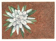 Succulent Painting by Hilda Wagner