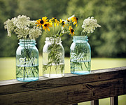 Summer Blooms Photograph by Cricket Hackmann