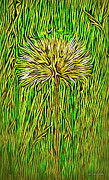 Summer Dandelion Morning Digital Art by Joel Bruce Wallach