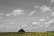 Summer Fields II Photograph by Dylan Punke