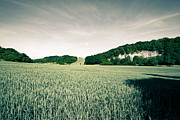 summer in Ruedigsdorf Photograph by Andreas Levi