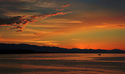 Summer Night Photograph by Randy Hall