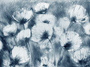 Summer Snow Drawing by Elena Vedernikova Summer Snow Drawing by Elena Vedernikova