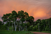 Summer Sunset over the Aspens  Photograph by Aaron Spong