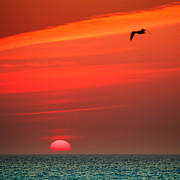 Sun Is Up Photograph by Darius Aniunas