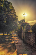 Sun Light Photograph by James Billings