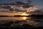 Sun Rise at West Lake in the Everglades Photograph by John Harmon