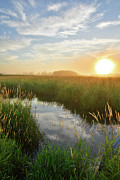 Sunburst over Glacial Park Wetland Photograph by Ray Mathis