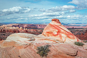 Sundae Swirl Photograph by Bill Singleton