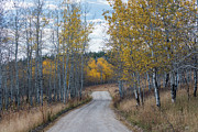 Sunday Drive Photograph by Chuck Jason