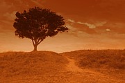 Sundown Alone Photograph by Julie Lueders 
