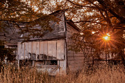 Sundown Photograph by Loni Collins