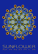 Sunflower Mandala Photograph by Nancy Griswold