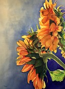 Sunflowers Painting by Barbara Pease Sunflowers Painting by Barbara Pease