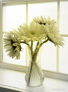 Sunflowers Photograph by Todd Blanchard