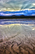 Sunlight at Yellowstone Photograph by Flat Owl Photo
