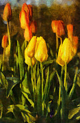 Sunny Tulips Digital Art by JGracey Stinson