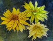 Sunny Yellow Drawing by Barbara O'Toole