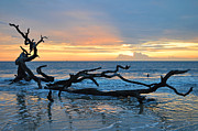 Sunrise at Driftwood Beach 1.4 Photograph by Bruce Gourley