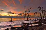 Sunrise at Huntington Beach Photograph by Ken Barrett
