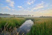Sunrise Reflection in Glacial Park Wetland Photograph by Ray Mathis