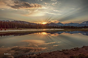 Sunrise Reflections Photograph by Bill Roberts