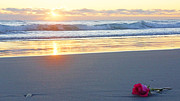 Sunrise Rose Photograph by Lawrence S Richardson Jr