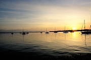 Sunrise, St. Augustine Photograph by Merle Grenz
