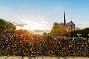 Sunset At Notre Dame De Paris Photograph by Melanie Alexandra Price
