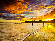 Sunset at the Coast Photograph by Iris Greenwell