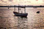 Sunset Boat Photograph by Georgia Clare