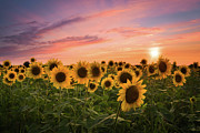 Sunset Choir Photograph by Kim Carpentier