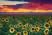 Sunset Hour Photograph by John De Bord