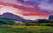 Sunset in the meadow Photograph by Dmytro Korol