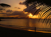 Sunset in the Sails Photograph by Amanda Jones