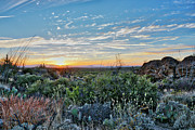Sunset in the Sonoran Desert Photograph by David Levin