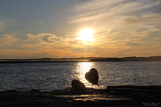 Sunset Love Photograph by Robert Banach