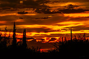 Sunset No.16 Photograph by Mark Myhaver Sunset No.16 Photograph by Mark Myhaver