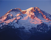 1M4876-Sunset on Mt. Rainier  Photograph by Ed  Cooper Photography