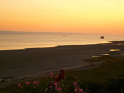 Sunset On The Devon Coast Photograph by Andrew Read
