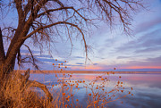 Sunset Overhang Photograph by Darren White