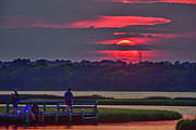 Sunset Perch Photograph by DJA Images