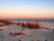 Sunset Sea Oats  Photograph by Kathy K McClellan